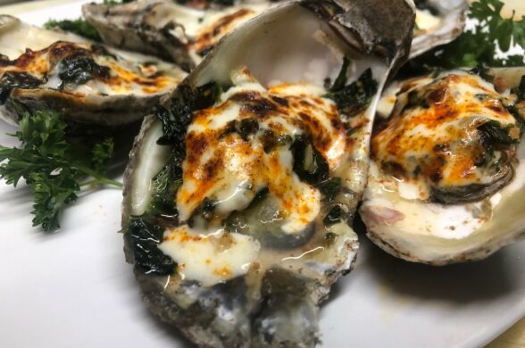 Photo of oysters in the half shell on a plate