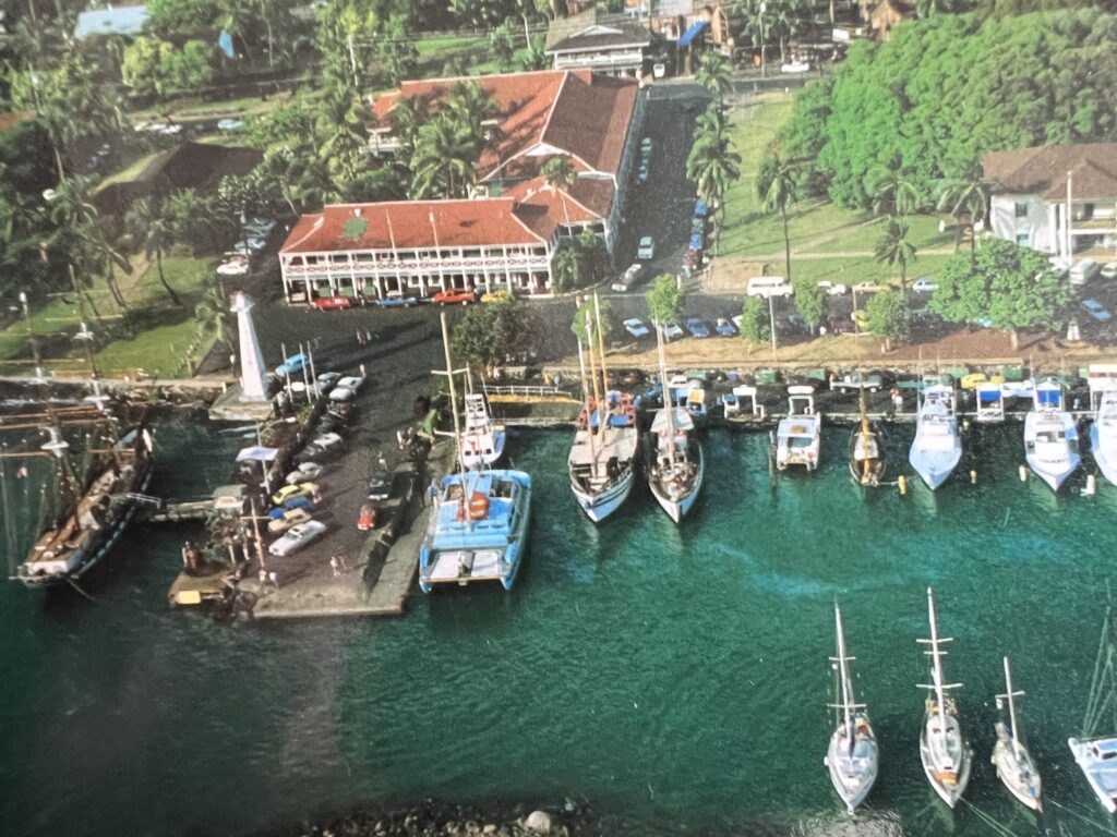 Aerial photo of a marina in Lahaina before the 2023 fire