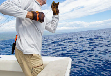 a fishing mate leadering a marlin safely