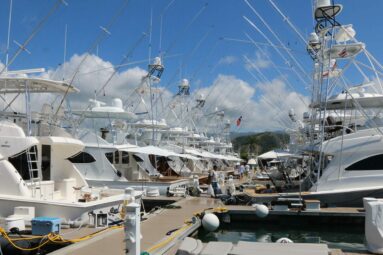 sportfish boats at a marina