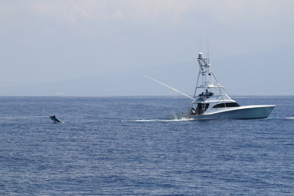 marlin jumping behind sportfishing boat