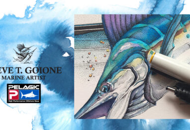 Steve Goine Collection banner