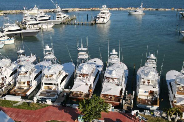 Traveleing Sportfish at a marina