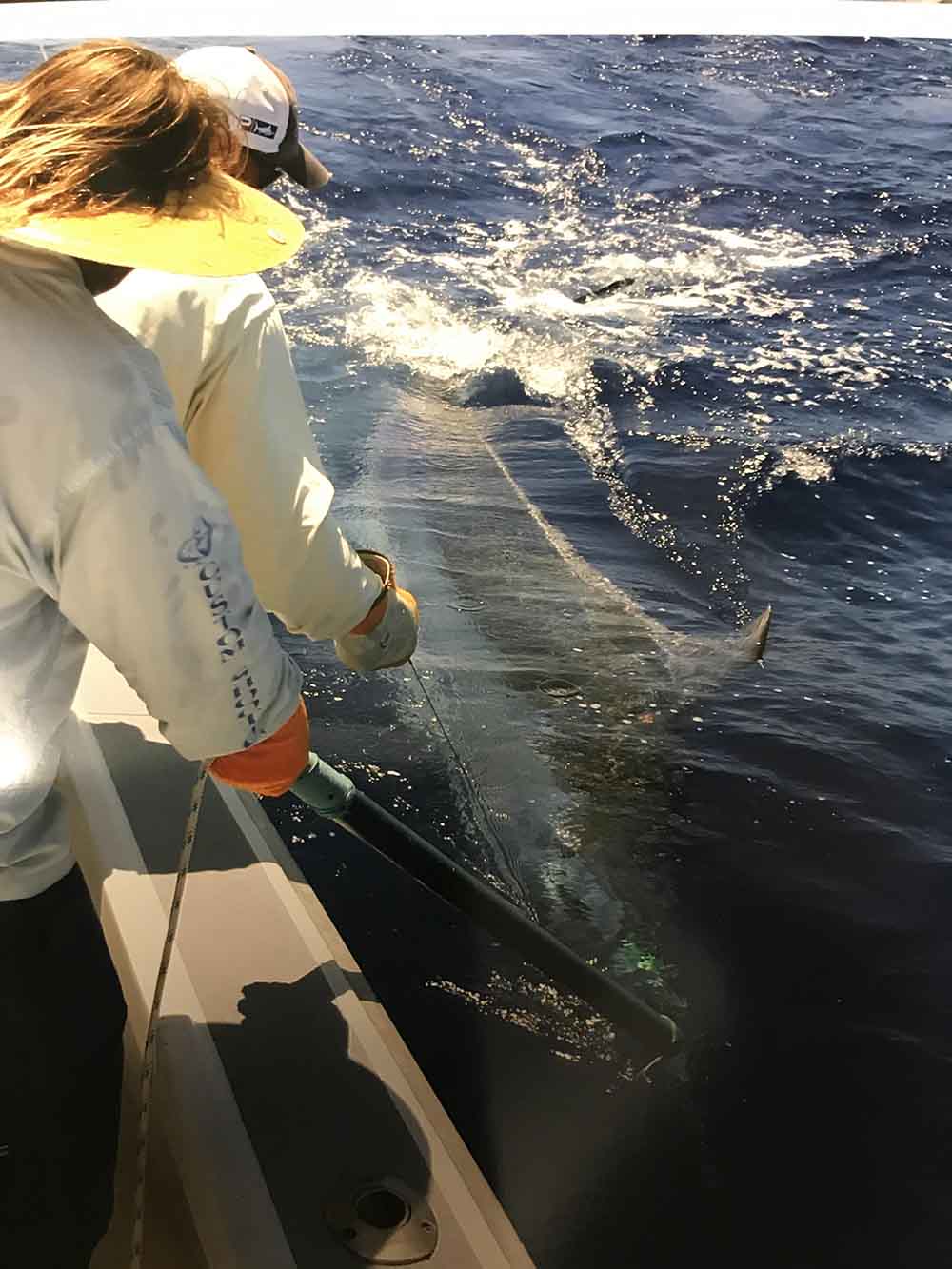  caught with Moyes Lures