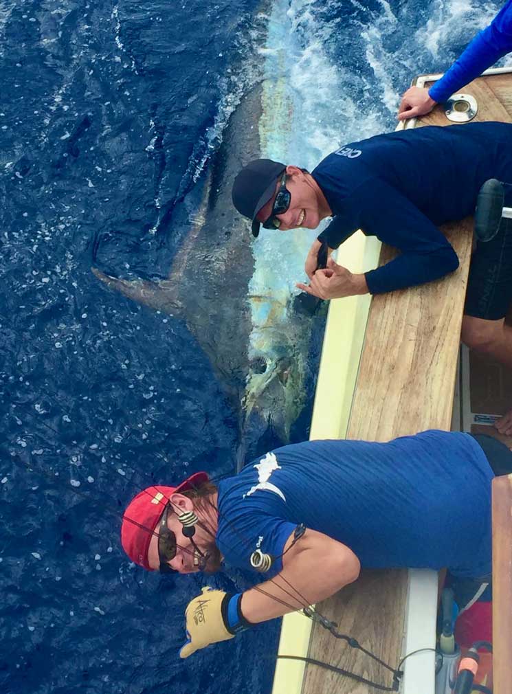 blue marlin boatside