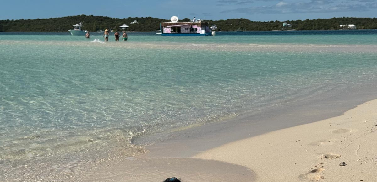 sandbar