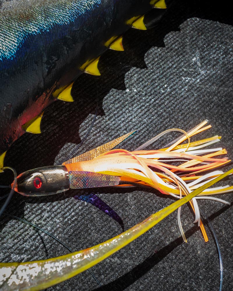 Tsutomu Lure with orange skirt