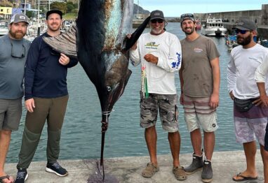 6 guys standing with a dead marlin