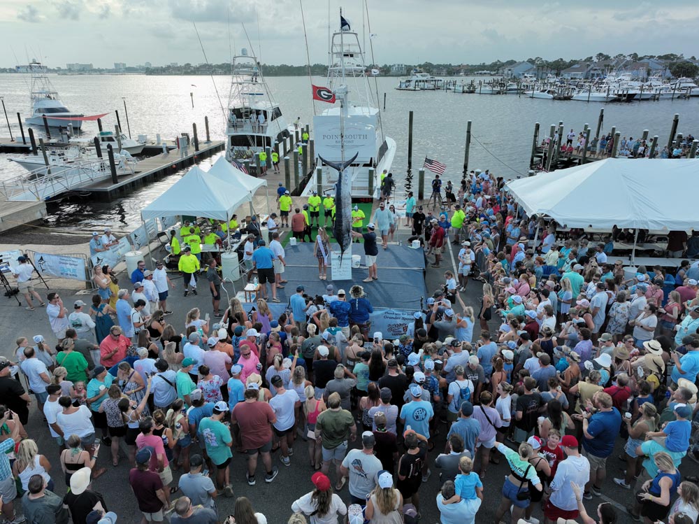 Bay Point Billfish Open crowd