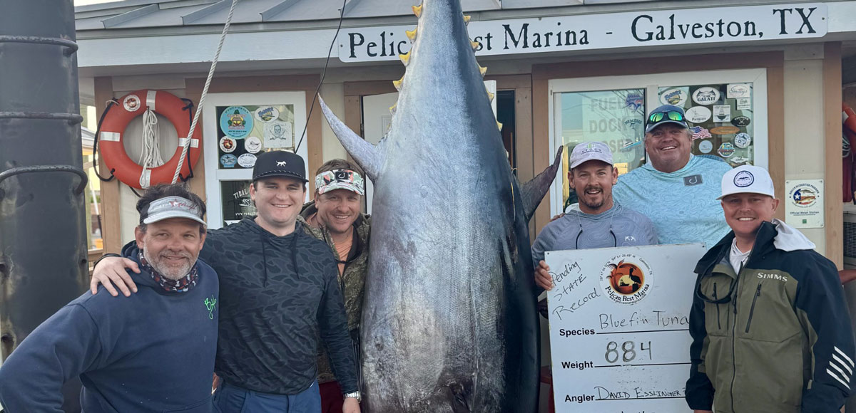 Texas State Record bluefin tuna