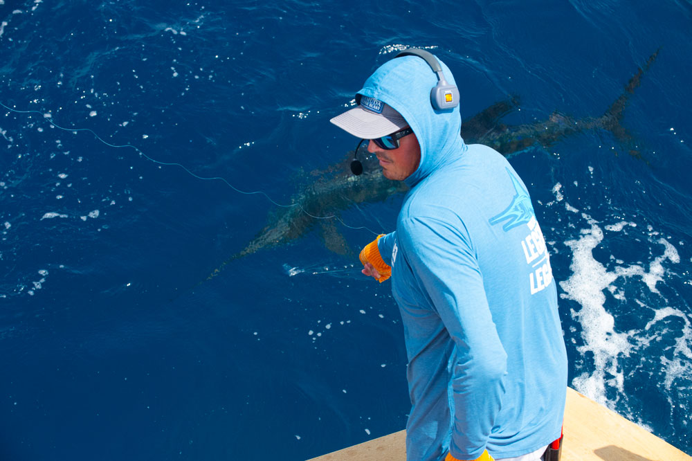 a fishing mate holing the leader with a sailfish underwater