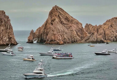 pelagic triple crown fishing cabo 2025