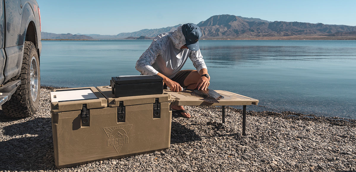 PacBak P88-MK Cooler: Revolutionary Three-Compartment Design