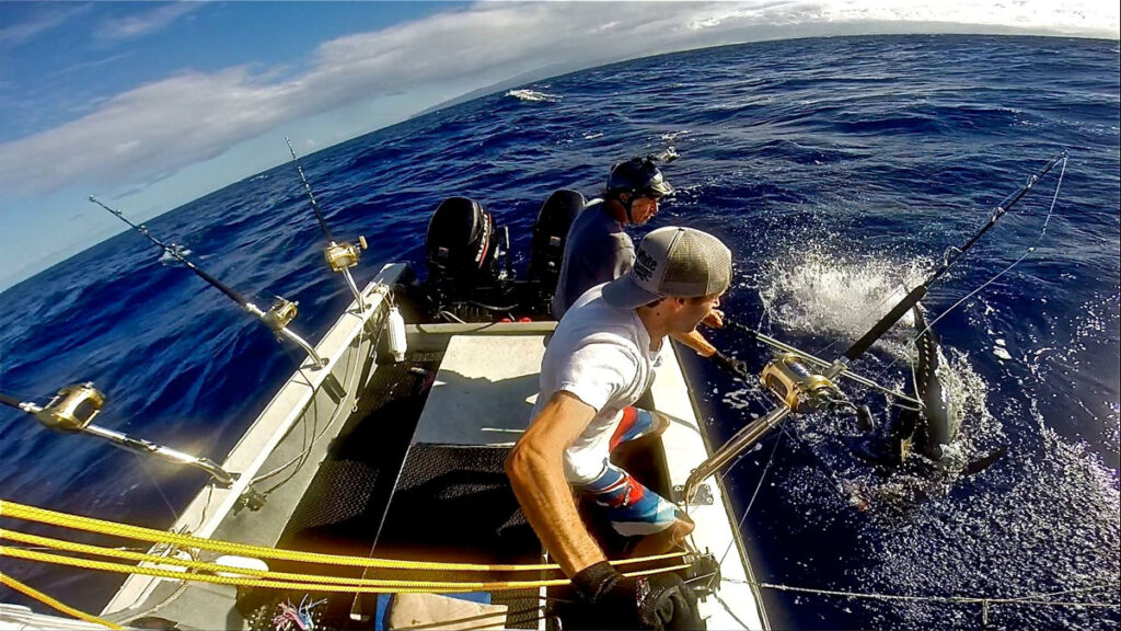 guys fishing on the ocean gaffing a nice yellowfin tuna
