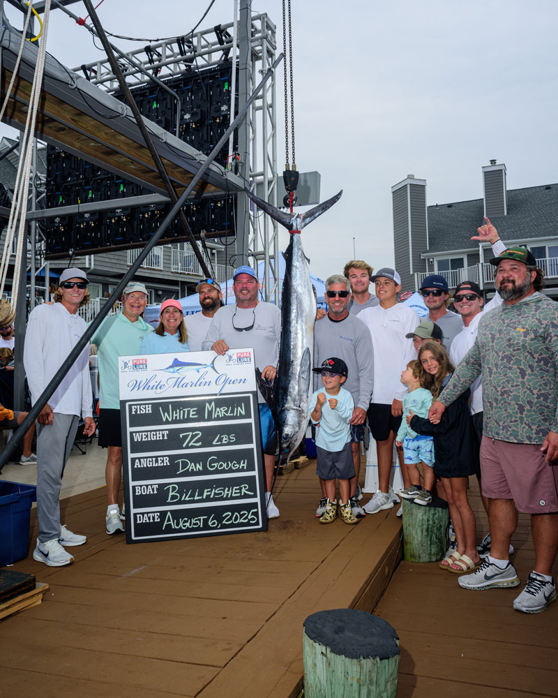 72 lbs. Billfisher winning white marlin