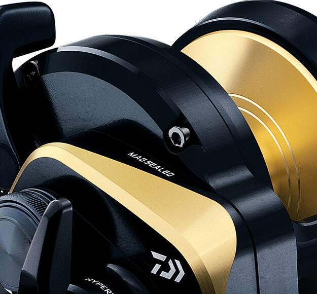 daiwa saltiga 35 hyperdrive technology fishing reel