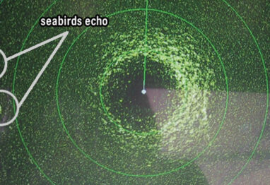 marine electronics gain settings