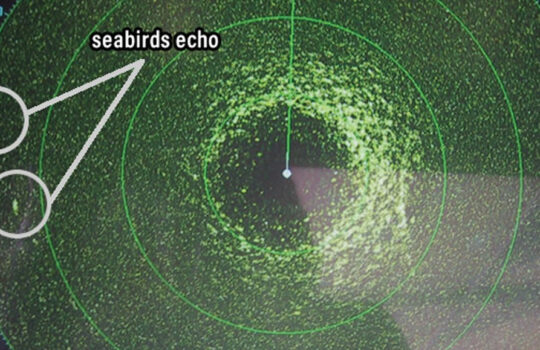 marine electronics gain settings