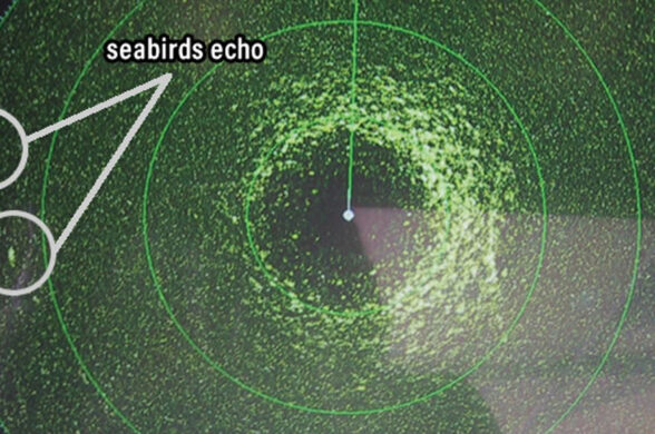 marine electronics gain settings