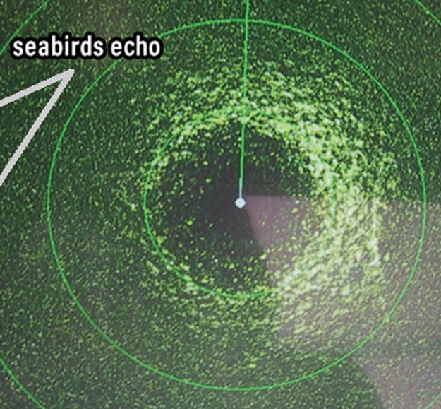 marine electronics gain settings