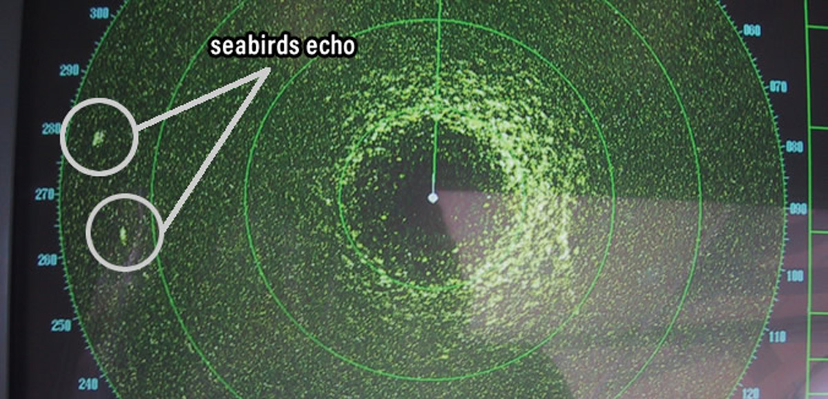 marine electronics gain settings