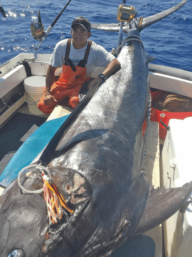 big marlin ina boat caught on a lure