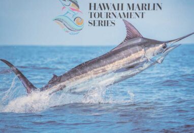 marlin jumping on the ocean