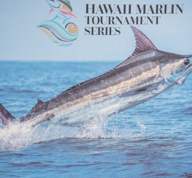marlin jumping on the ocean