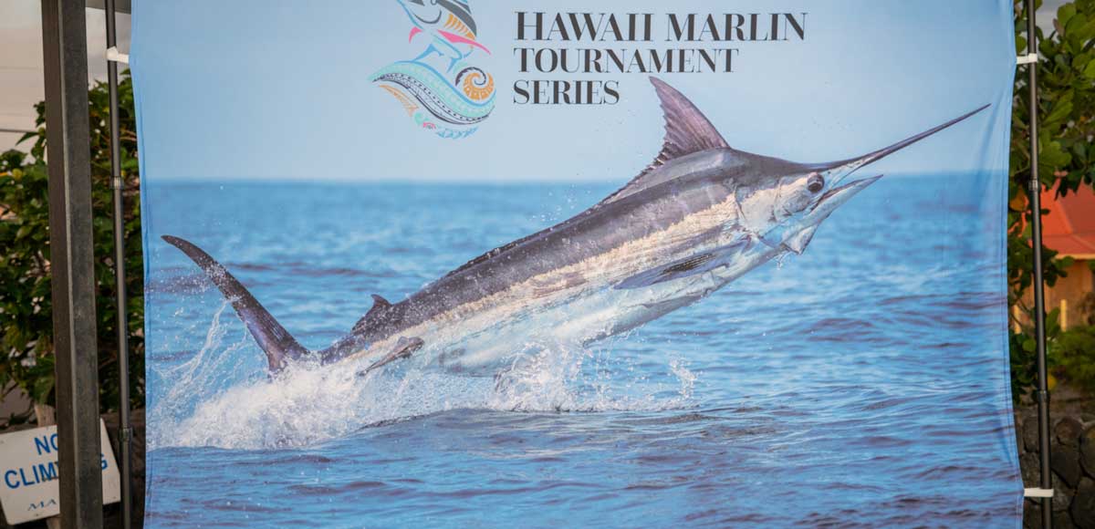marlin jumping on the ocean