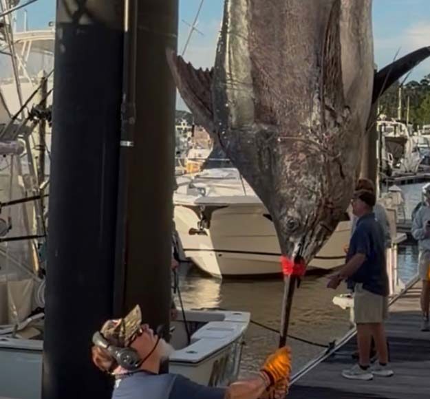 Heavy Hitter: Captain BJ Teems’ 595-Pound Gulf Blue
