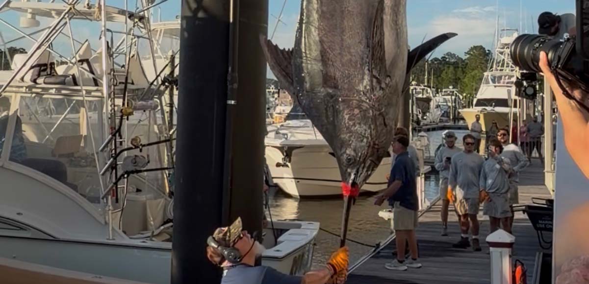 Heavy Hitter: Captain BJ Teems’ 595-Pound Gulf Blue