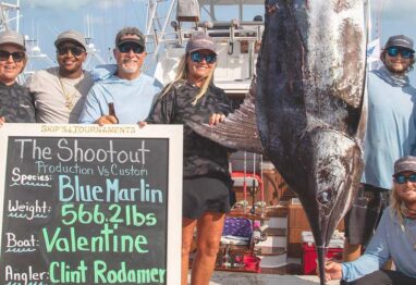 Largest blue marlin 566.20 lbs at the shootout hanging at the scale