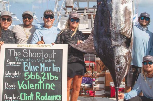 Largest blue marlin 566.20 lbs at the shootout hanging at the scale