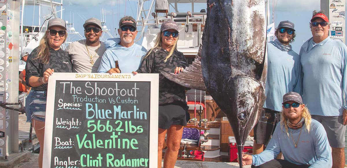 Largest blue marlin 566.20 lbs at the shootout hanging at the scale