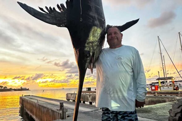 St Croix swordfish catch