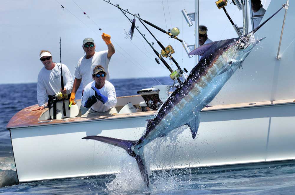 Blue Marlin jumping next to a sportfishing boat with with 5 guys watching