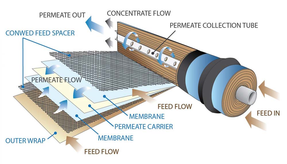 web membrane