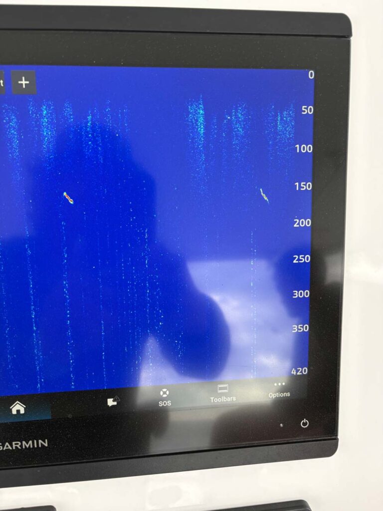 sonar marks of a blue marlin