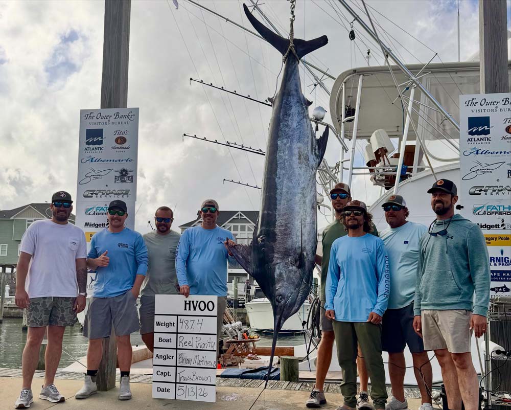 487.4 lbs marlin for Captain Travis Brown and crew of Reel Priority at the tournament scale
