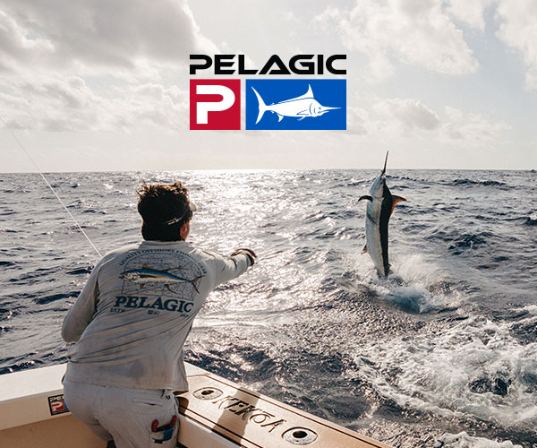 Turning the Tide on South Atlantic Red Snapper Management - InTheBite
