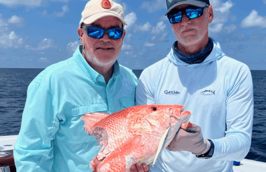 Shark Depredation red snapper