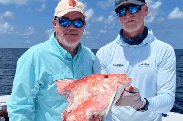 Shark Depredation red snapper