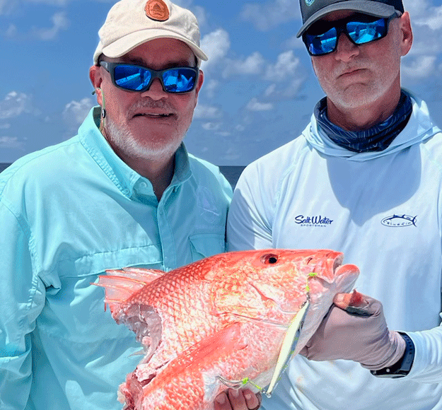 Shark Depredation red snapper