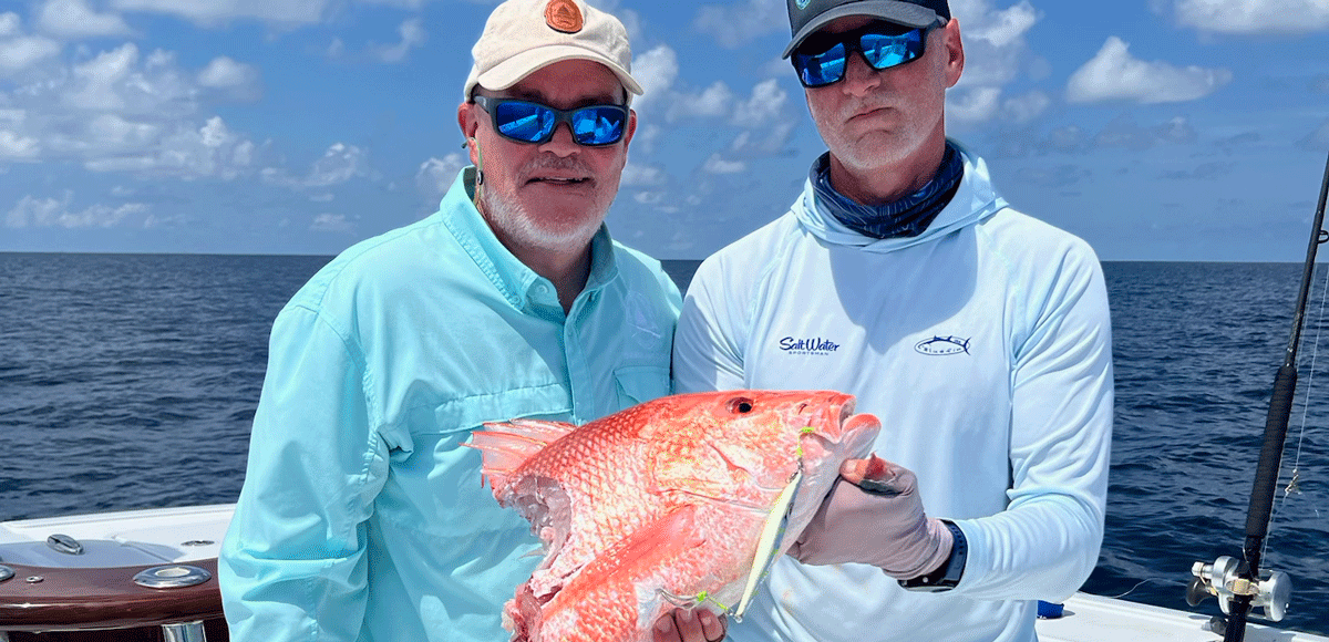 Shark Depredation red snapper
