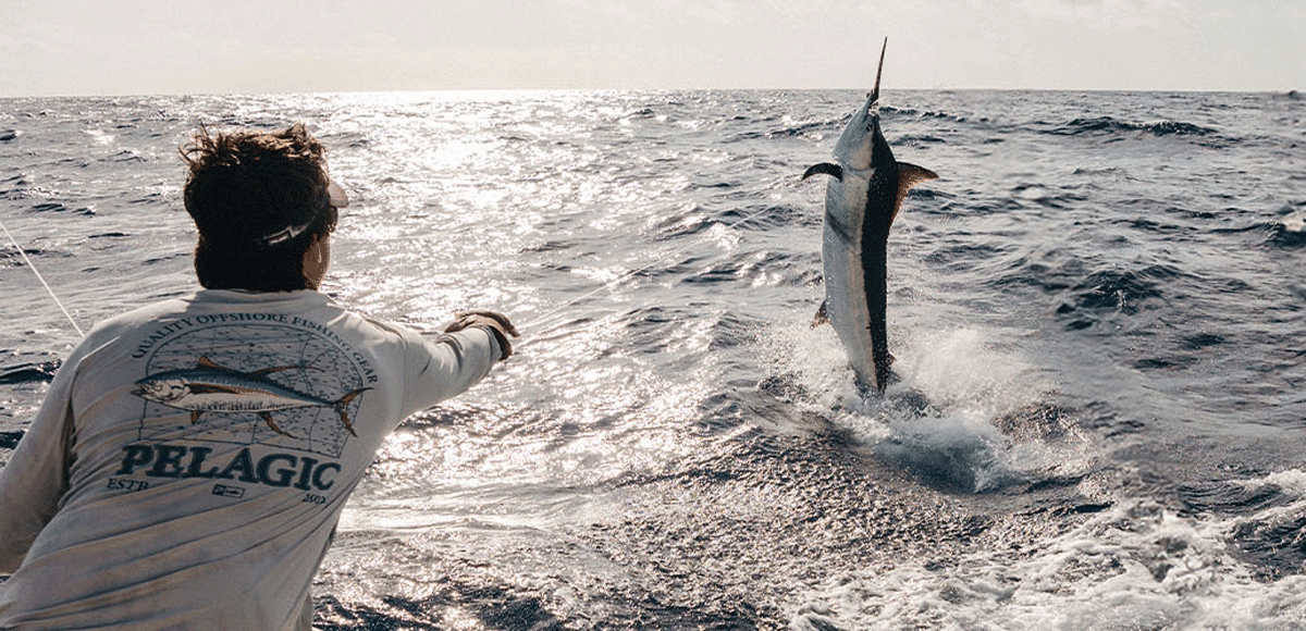 a blue marlin jumping with a mate wearing Pelagic Sun Protection Apparel