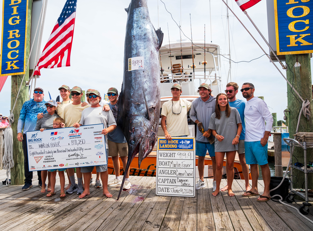 web Marlin Fever 2