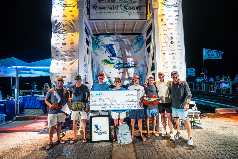 team metal masher award check for the biggest blue