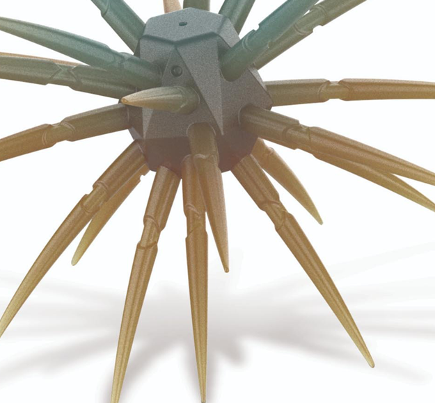 sea urchin bait