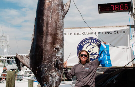 Sydney Prince big 788.6 lb blue