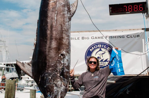 Sydney Prince big 788.6 lb blue